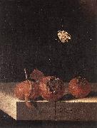 COORTE, Adriaen Three Medlars with a Butterfly df China oil painting reproduction